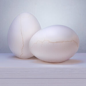 Still life with eggs Frank Verhulst