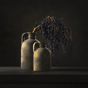 Frank Verhulst Photography